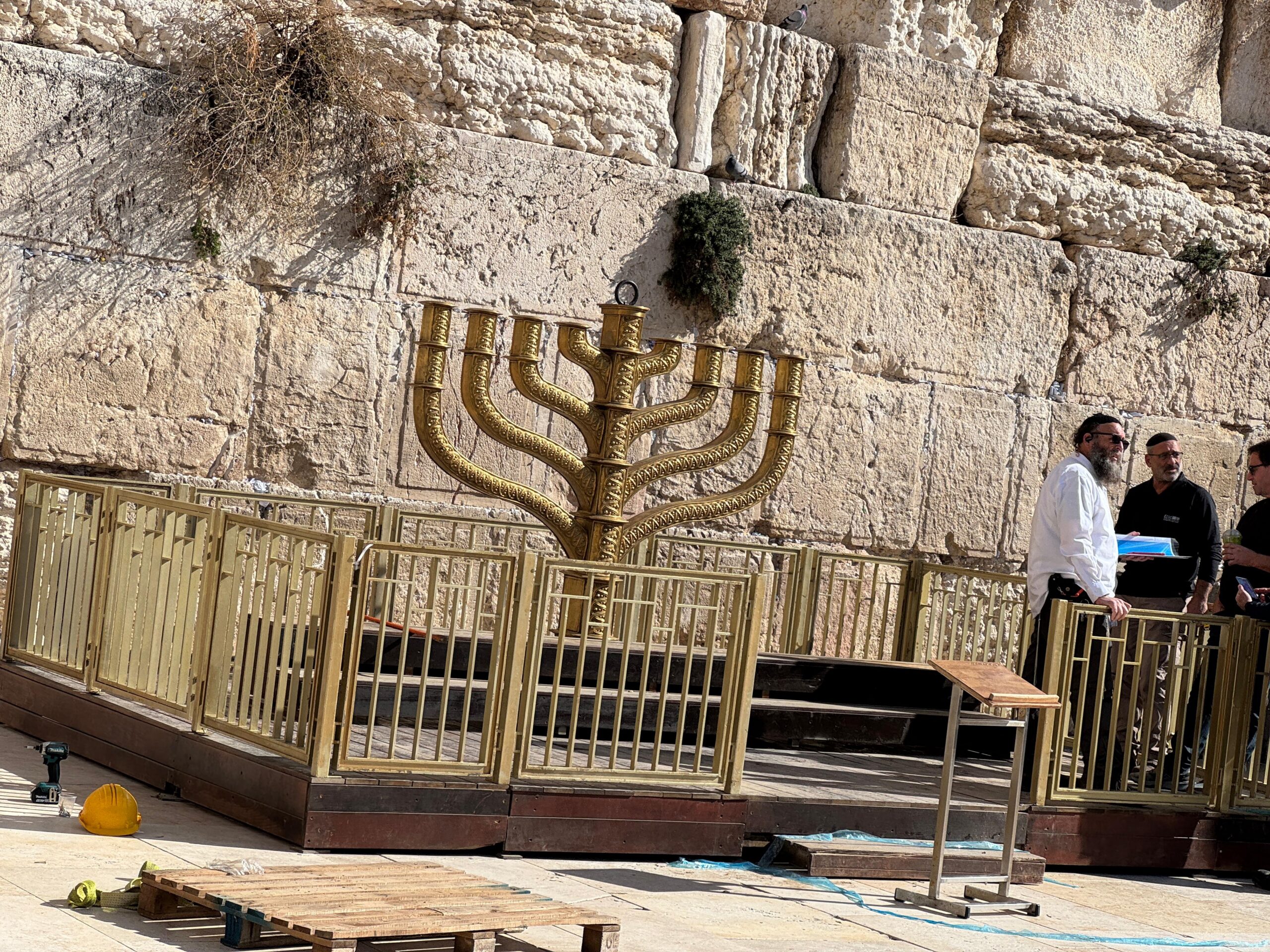 הובלות בירושלים — תמונה 3